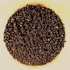 Nigella Sativa Seeds - 4.1 oz Stovetop Shaker Jar