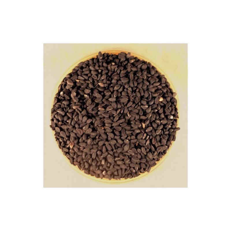 Nigella Sativa Seeds - 4.1 oz Stovetop Shaker Jar