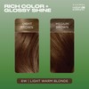 Clairol Natural Instincts Demi-Permanent Hair Dye, 6W Light Warm Brown