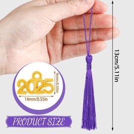 Cindeer 100 Pcs Mini Graduation Tassels with 100 Pcs 2025 Tassel Charms for Crafts Mini Silky Bookmark Tassels for Graduation Cap Keychain Ornaments DIY Craft Jewelry Making Project(Purple)