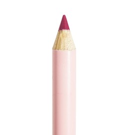 Pink Up | Lip Liner | Lip Definer | Complements Your Look | Enhances Lip Volume | Highly Pigmented | Long-Lasting | Shade: Rosewood | Model PKLL25