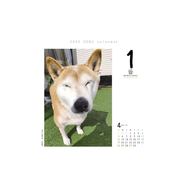 Dog Turning 2026 Calendar Refills Day Dive CK-D26-02