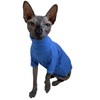 Sphynx Cats Shirt Cat Turtleneck Cotton Sweater Pullover Kitten T-Shirts