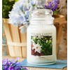 Village Candle Gardenia Large Glass Apothecary Jar Scented Candle, 21.25