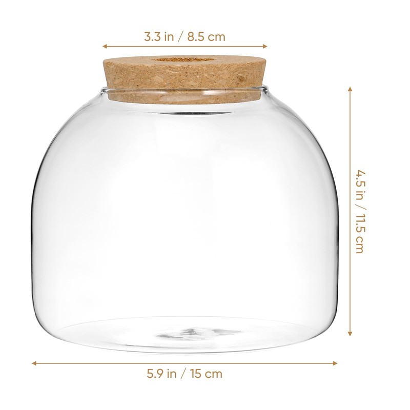 Cork Glass Bottle Container Tabletop Circle Vase Lid Plant Betta