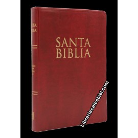 Santa Biblia Letra Super Gigante Reina Valera 1960 Cierre Indice color Vino