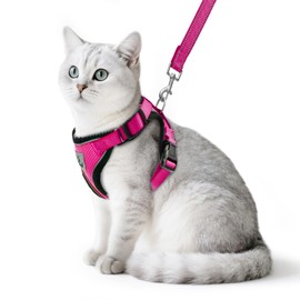 PUPTECK Cat Harness and Leash Set Escape Proof Reflective Cat Walking Harness Adjustable Soft Breathable Mesh Vest for Small Pets, Deep Pink, M