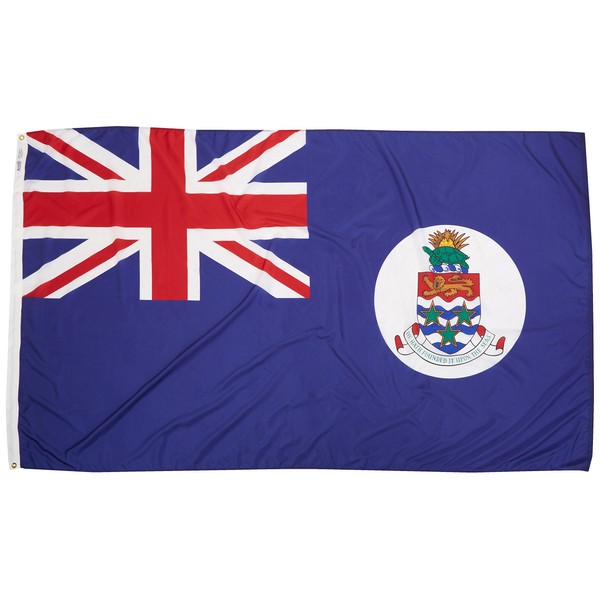 Annin Flagmakers 191378 International Flag, 5x8 ft, not_Applicable