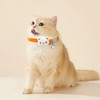 Cat Collar Breakaway,Cat Collars for Girl Cats,Kitten Collar with Bell(2PCS,Red