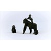Schleich Wildlife Gorilla Parent and Child 42601