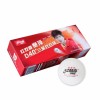 DHS 10x 3 Star DHS Table Tennis Balls D40+ ABS
