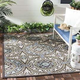 Safavieh Veranda Collection VER055 Modern Indoor/ Outdoor Area Rug, 5'3" x 7'7", Chocolate / Aqua