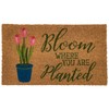 Avera Products Bloom Where You are Planted Doormat - Spring
