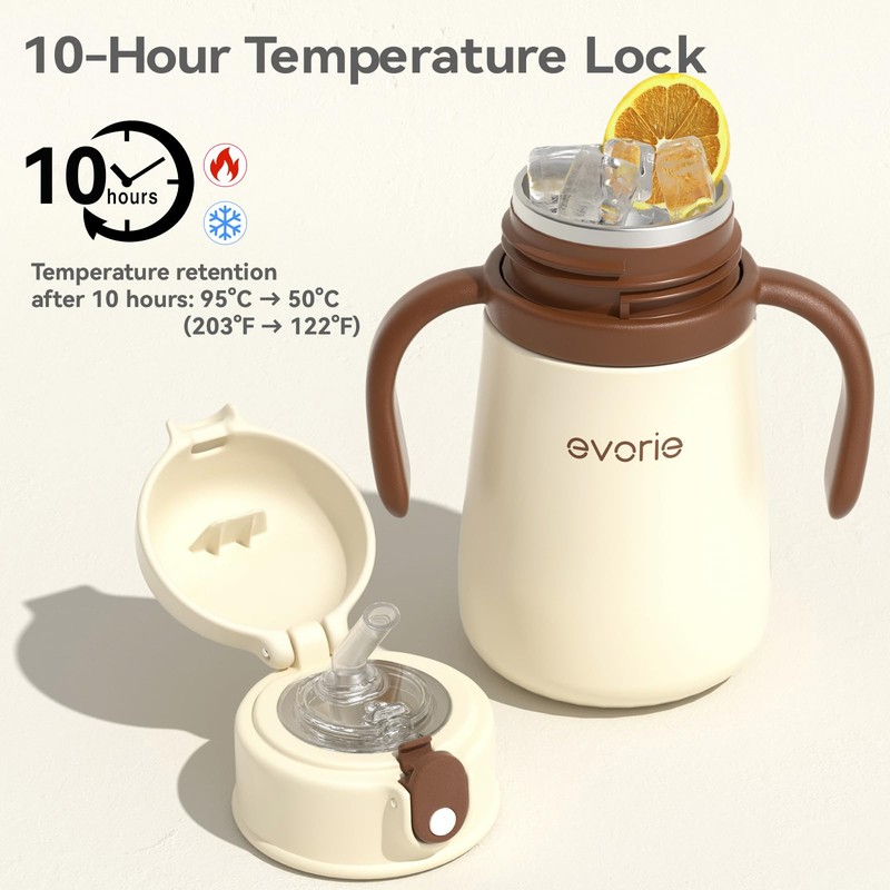Evorie Leak Proof Vacuum Insulated Water Bottle, 316L Stainless Steel