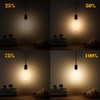 Duoled T10 Tubular Light Bulbs,E26 Dimmable Led Bulbs,8W Led Edison