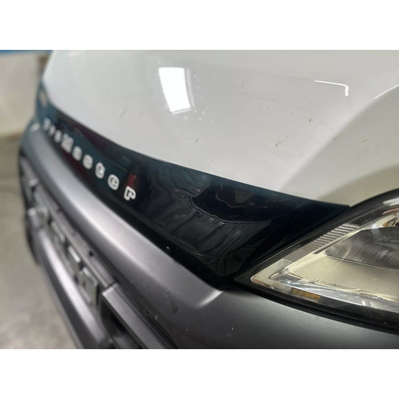 IMG AUTOMARKET Hood Deflector for 2022-2025 Ram Promaster Bug Shield