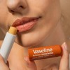 Vaseline Lip Therapy Cocoa Butter Tinted Lip Balm, Lipstick with