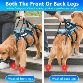 Lafoty Dog Lift Harness for Medium Male Dogs Friendly, 2 in 1 Detachable Support Harness, Full Body Dog Carrying with 4 Handles for Old/Disabled/Joint Injuries Dogs (Black, Medium)