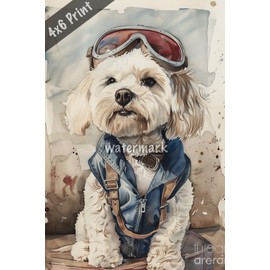 Dog Havanese in retro pilot outfit watercolor Art 4x6 Print