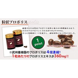 Granular Propolis Health Supplement, 100 Tablets, Made in Brazil, *Contains Artepyrin C 10 mg in 10 mg, Bushu Bee Garden, Flavonoid, Male, Female, Propolis Extract