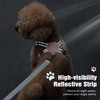 Pawaboo Small Dog Harness and Leash Set, Puppy Harness X-Frame