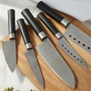 Berghoff Codon 5Pc Stainless Steel Santoku Knife Set with PP