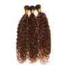 Brown Bundles Human Hair Highlight Bundles Dark Brown Curly Bundle
