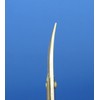 Kinugawa Company W-15 Stainless Steel Fashionable Scissors for Eyebrows, Split