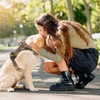 RENEWREVITAL 犬用ハーネス メッシュデザイン犬用ハーネス ノープル犬用ベスト ハイキング用 小中大型犬用 迷彩 中サイズ