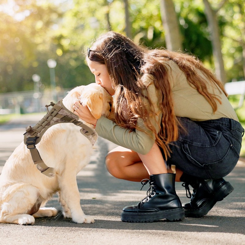 RENEWREVITAL 犬用ハーネス メッシュデザイン犬用ハーネス ノープル犬用ベスト ハイキング用 小中大型犬用 迷彩 中サイズ