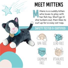 Foothill Toy Co. Animals in Boxes - 'Mittens The Kitten' Playset with Stuffed Kitten & Accessories