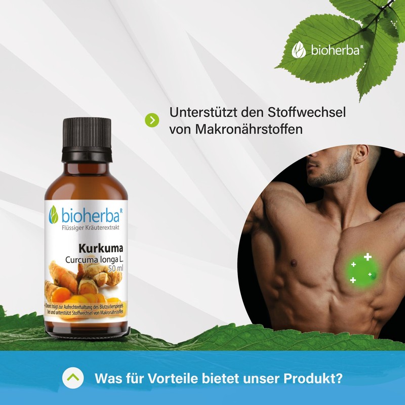Kurkuma Tropfen Hochdosiert 50 ml Curcuma longa L, Turmeric Tinktur