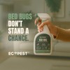 Bed Bug Spray – Natural, Plant-Based Killer for Bed Bugs,