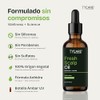 Fresh Scalp Oil Aceite Capilar Pre-Lavado con Romero, Ricino, Menta