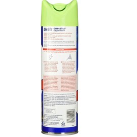 Woolite One Step Foam Carpet Cleaner - 22 oz - 2 pk