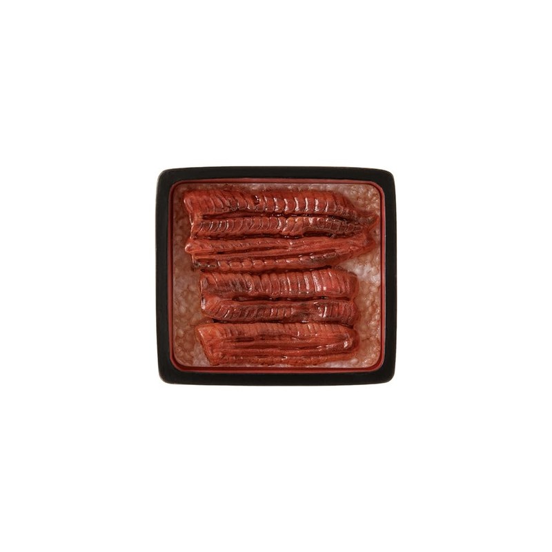 Midori 43413006 Magnet Magnet, 1 Piece, Eel Heavy Pattern