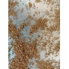 Unbraded 300 Semillas De Higo Orgánicas-300 Organic Fig Seeds