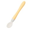 Pigeon Feeding Spoon Capacity R