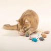 Rouly Cat Toy, Play Alone, Prevent Loneliness, Brush Teeth, Relieve