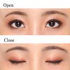 Chifure Gradient Eye Shadow 76 Red Brown