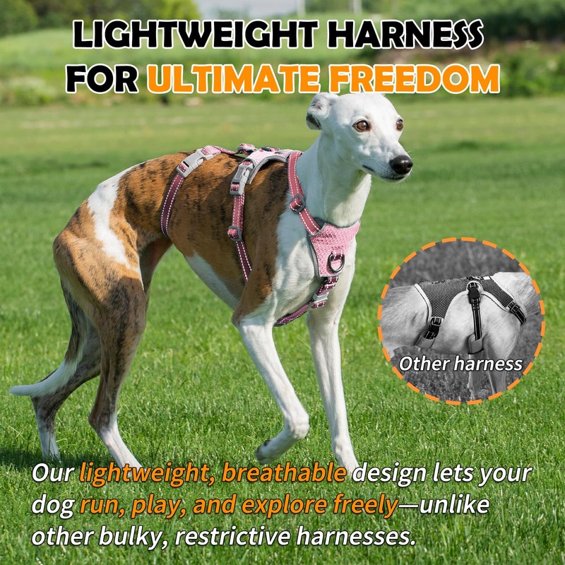Huntboo Escape Proof Dog Harness – No Pull, No Slip,