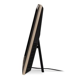 AcuRite Digital Vertical Weather Forecaster, Full Color