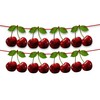 Seyal® Cherry Garland Decoration