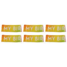 6 Pcs Birthday Sash Reusable Soft Comfortable Colorful Satin Birthday Sash Kids Birthday Gift Birthday Party Supplies