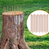 25 Pcs Copper Nails Kit to Killing Trees,Includes 23PCS 3.5