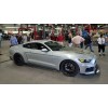 Mustang 2015 - 2021 Mustang Roush Badge - P51 Style