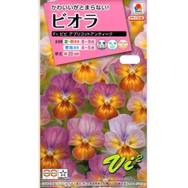 Takii Seedling Viola F1 Bibi Apricot Antique