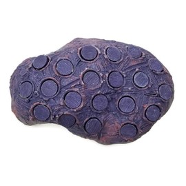 Oceans Wonders Coralline Purple Frag Hub 20.0 Coral Frag Plug Holder with 20 Plugs