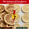 Freeze Dried Lemon Slices, No Sugar Added, 100% Natural Lemon,