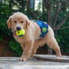 CuteBone Dog Belly Bands for Male Dogs Wraps Washable Doggie